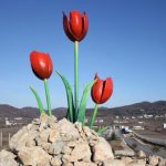 Tulip Square - Ashraf 3