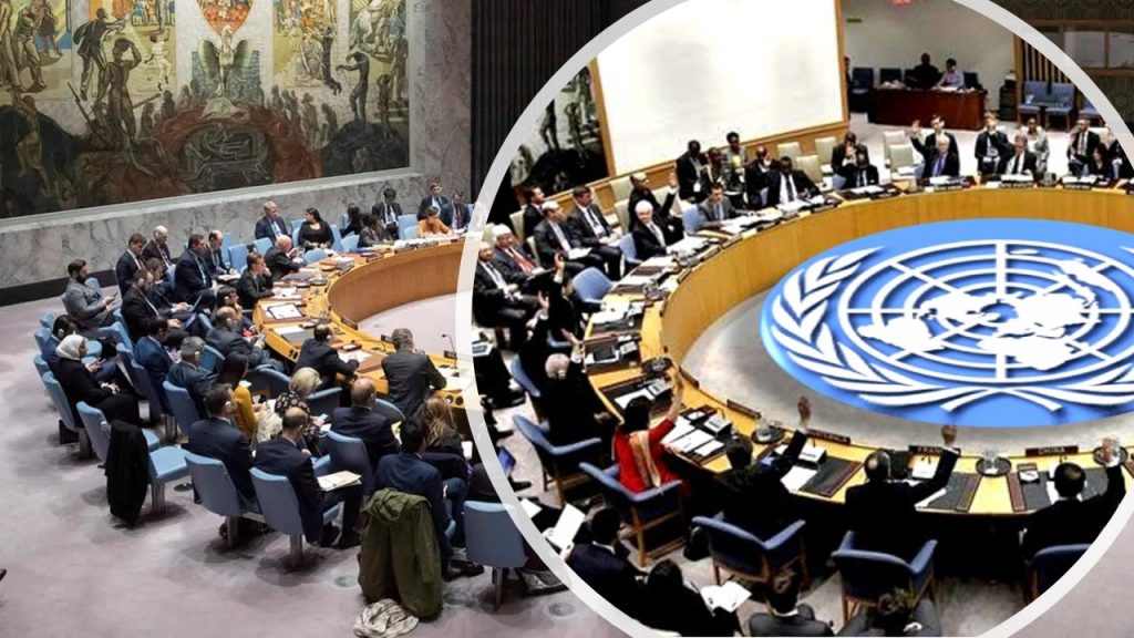 The UN's Third Committee