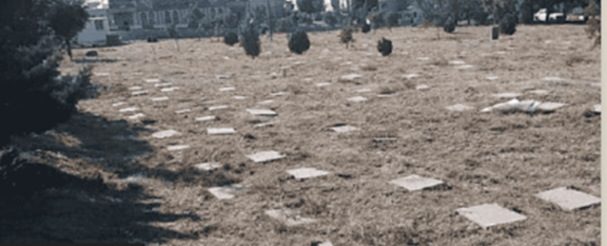 In a recent attempt to erase evidence of historical crimes, Iranian security forces have embarked on a demolition spree, bulldozing portions of the Behesht-e Reza Mausoleum in Mashhad. This mausoleum held the remains of political prisoners executed during the tumultuous 1980s.