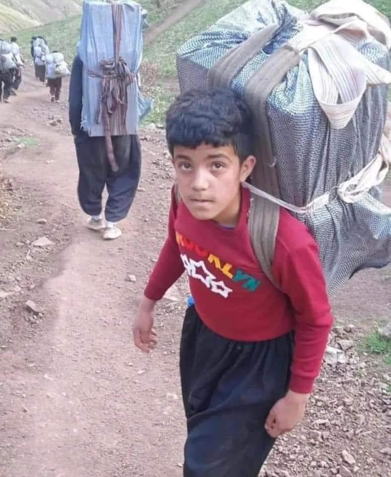 The frequency and severity of attacks against kulbars have been increasing.